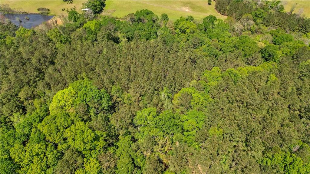 0 Spring Road Kentwood, LA 70444 - Photo 17 of 22 Gallery Image 17
