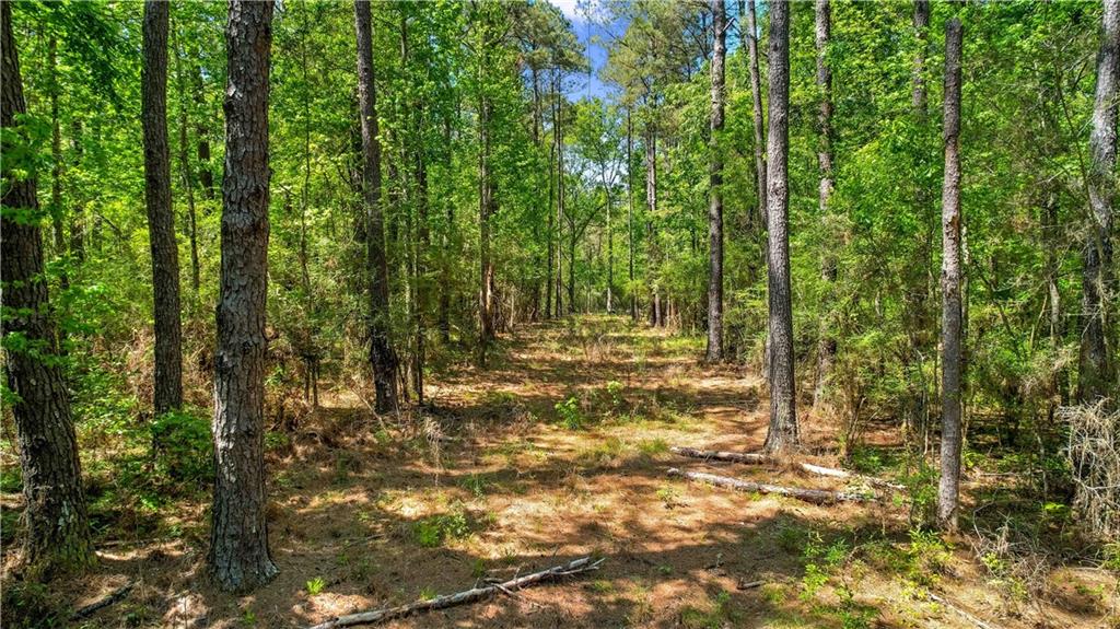 0 Spring Road Kentwood, LA 70444 - Photo 2 of 22 Gallery Image 2