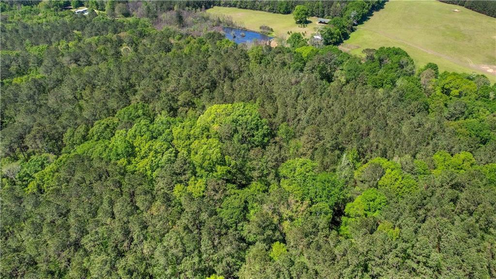 0 Spring Road Kentwood, LA 70444 - Photo 22 of 22 Gallery Image 22