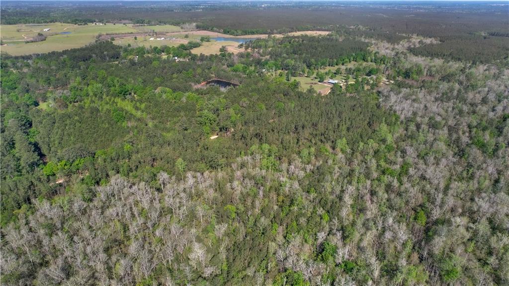 0 Spring Road Kentwood, LA 70444 - Photo 3 of 22 Gallery Image 3