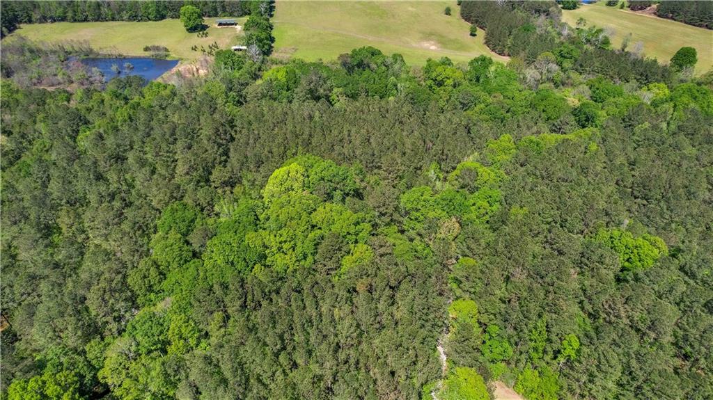 0 Spring Road Kentwood, LA 70444 - Photo 5 of 22 Gallery Image 5