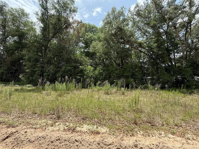 $8,799 | 119 Smokey Avenue, Interlachen, FL 32148