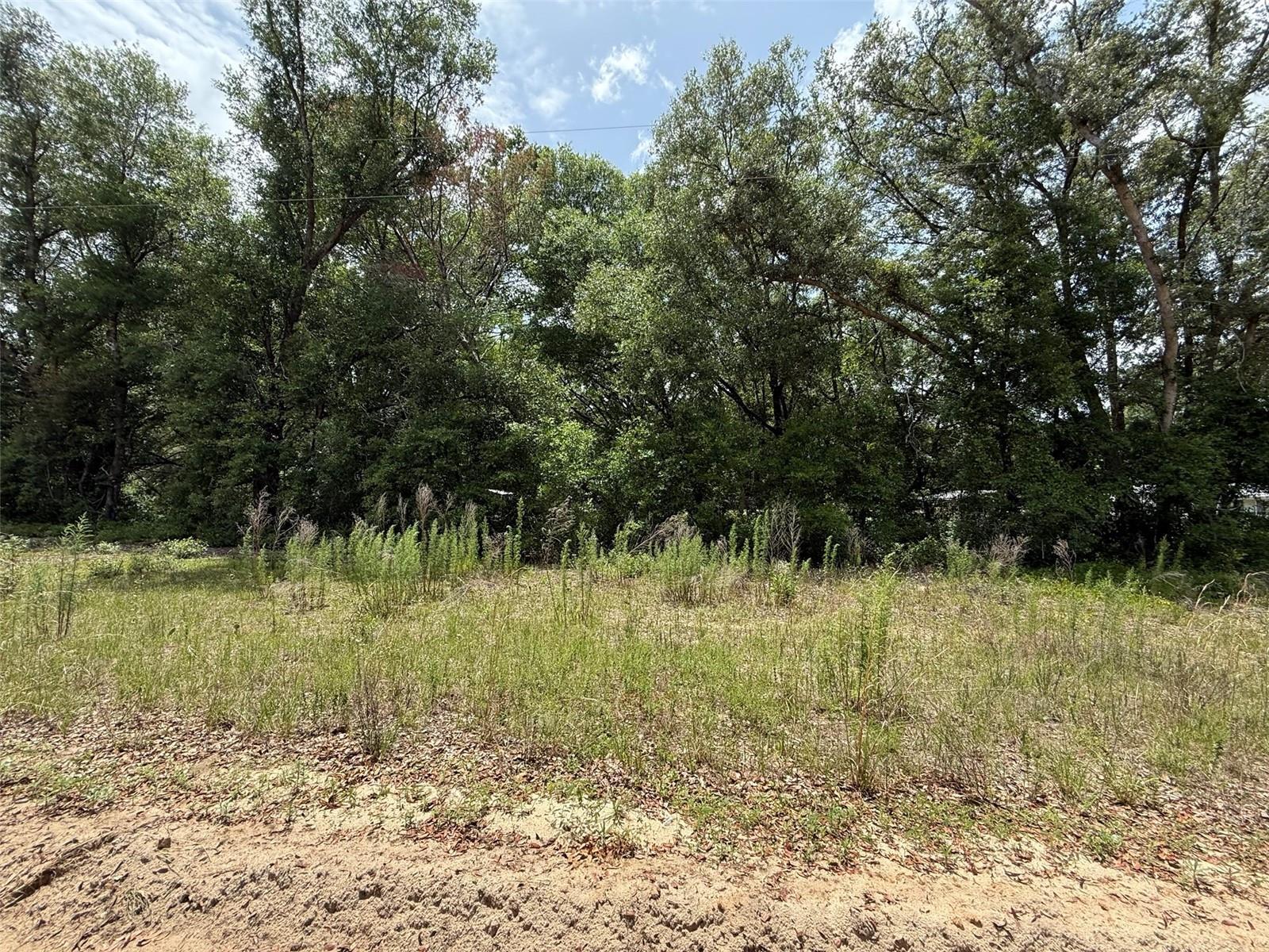 119 Smokey Avenue Interlachen, FL 32148 - Photo 2 of 6 Smky1