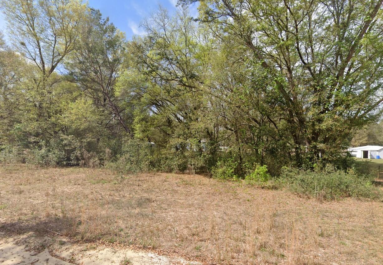 119 Smokey Avenue Interlachen, FL 32148 - Photo 3 of 6 smky4