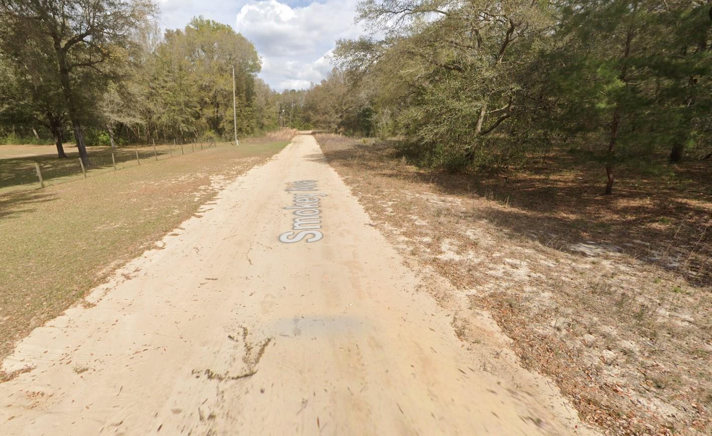 119 Smokey Avenue Interlachen, FL 32148 - Photo 4 of 6 smky6