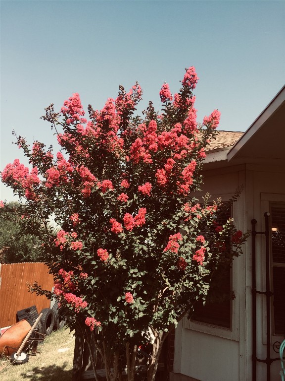 250 Engineers Pass Jarrell, TX 76537 - Photo 14 of 22