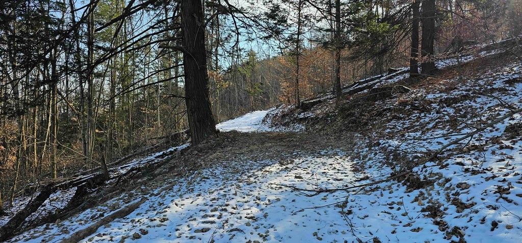 0 Jenkins Road Elmira, NY 14901 - Photo 10 of 25