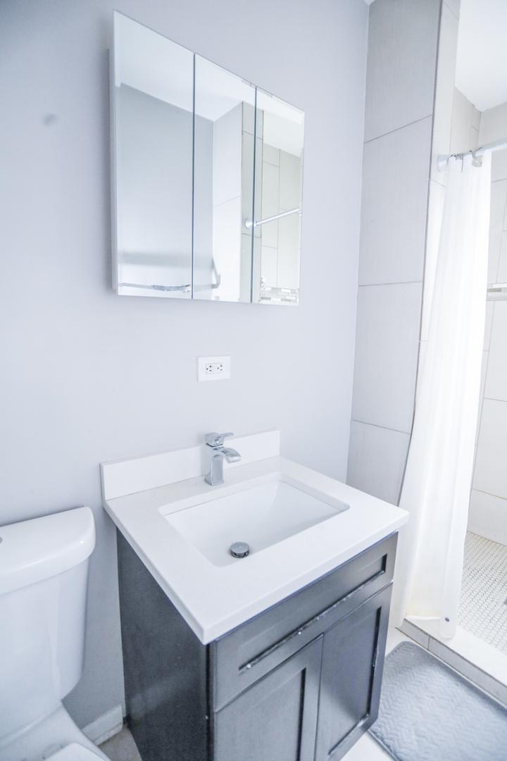 4400 North Magnolia Avenue, Unit 321 Chicago, IL 60640 - Photo 9 of 12 a bathroom with a sink a toilet and a mirror