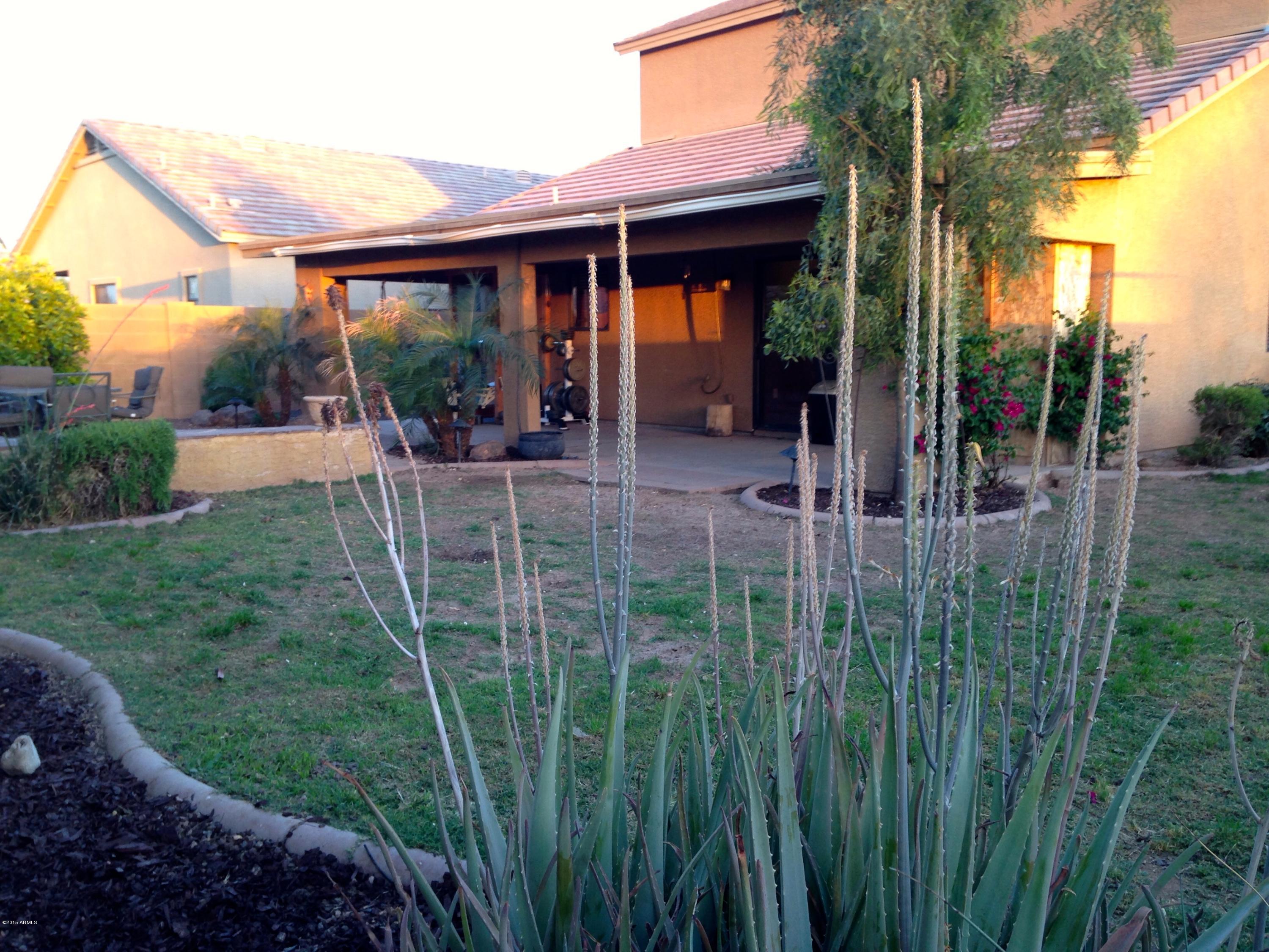 1112 West Carson Road Phoenix, AZ 85041 - Photo 4 of 40 Full Length Patio