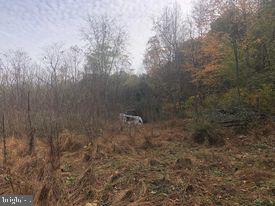 15-acres River Road Berkeley Springs, WV 25411 - Photo 1 of 13 Gallery Image 1