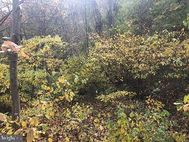 15-acres River Road Berkeley Springs, WV 25411 - Photo 3 of 13 Gallery Image 3