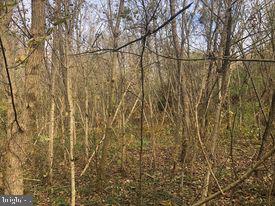 15-acres River Road Berkeley Springs, WV 25411 - Photo 7 of 13 Gallery Image 7
