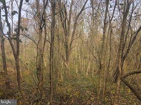15-acres River Road Berkeley Springs, WV 25411 - Photo 8 of 13 Gallery Image 8