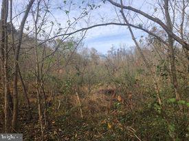 15-acres River Road Berkeley Springs, WV 25411 - Photo 10 of 13 Gallery Image 10