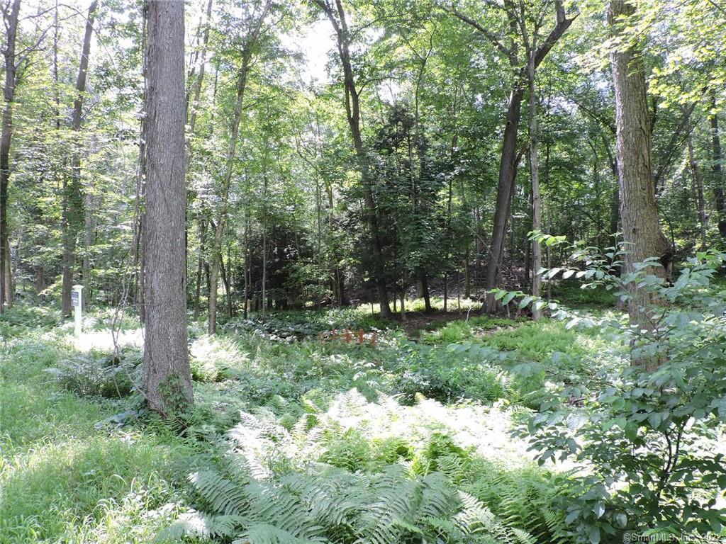 17 Paper Mill Road Amston, CT 06231 - Photo 1 of 1 Gallery Image 1