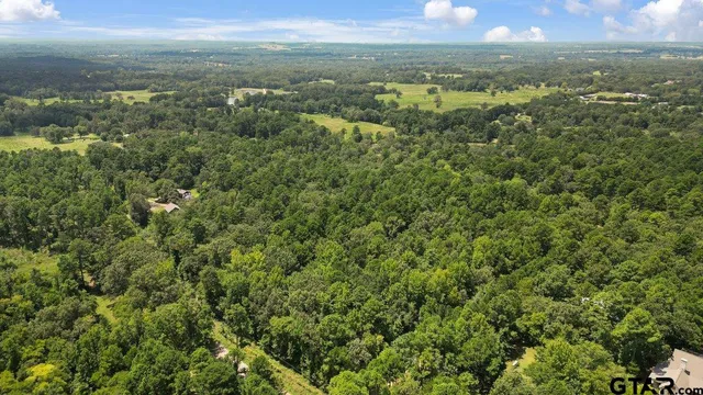 a view of a city with an ocean