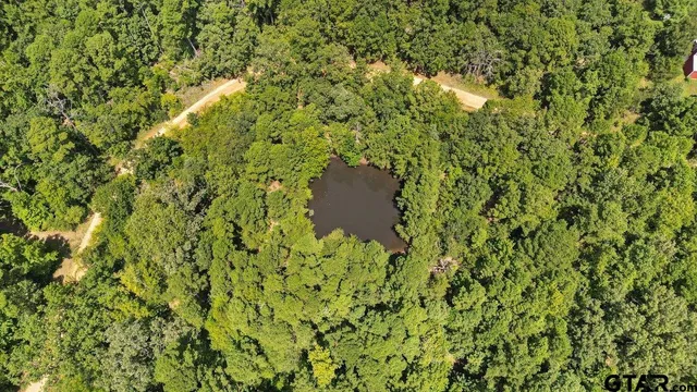 a view of a house with a tree