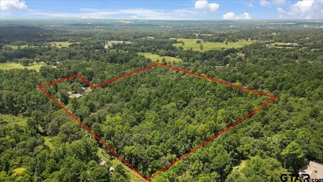 a view of a city with lush green forest