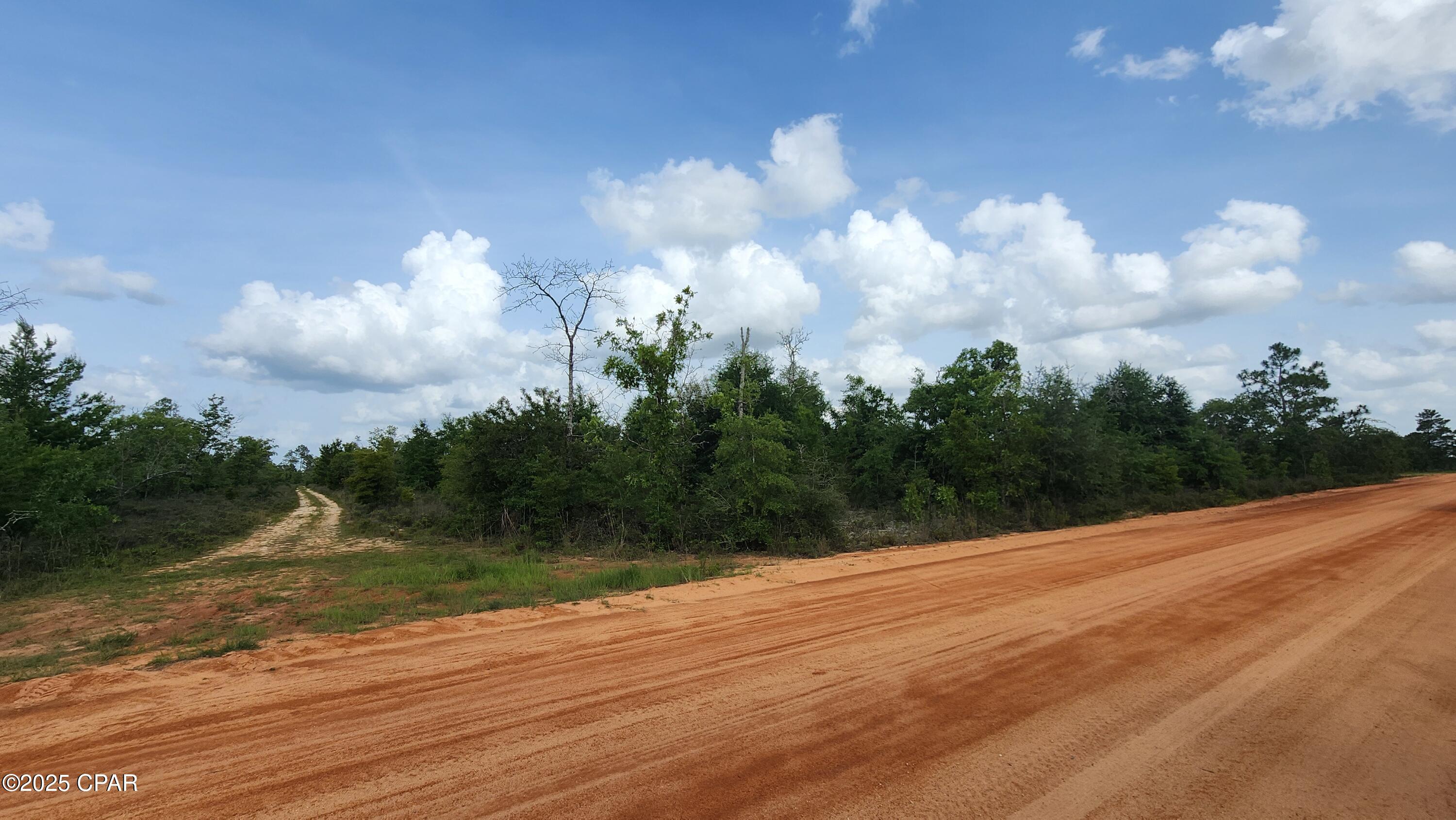 0 Petty Road, Unit LOT 11 Marianna, FL 32448 - Photo 4 of 7