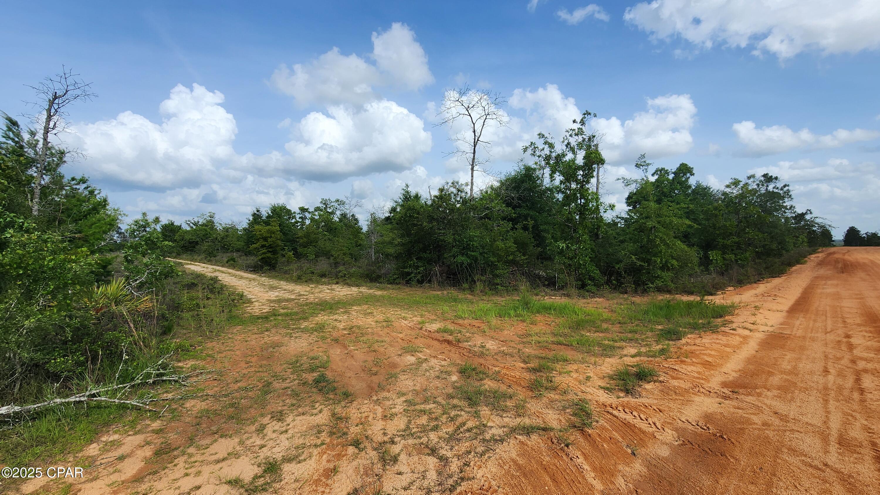 0 Petty Road, Unit LOT 11 Marianna, FL 32448 - Photo 5 of 7