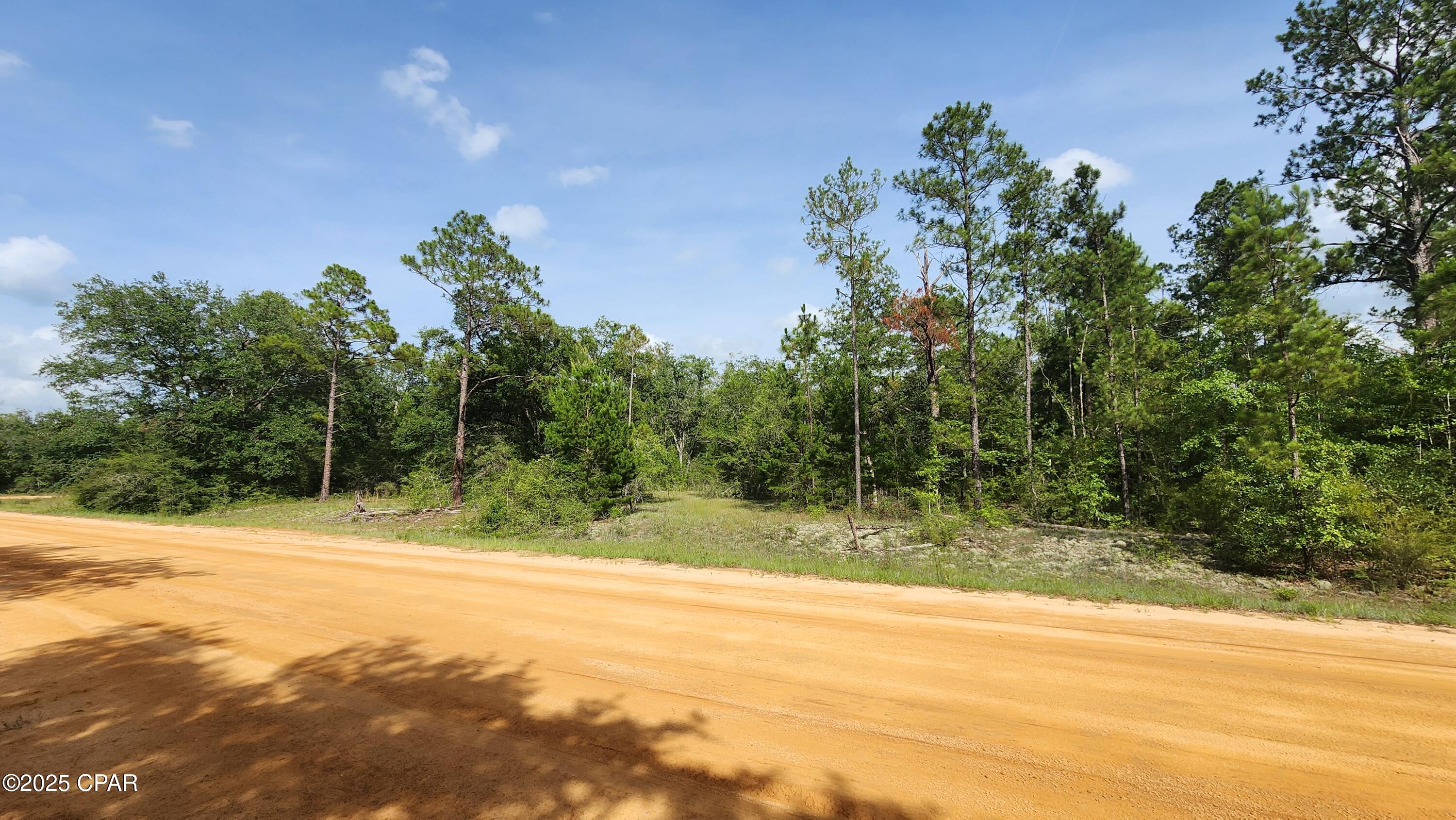 0 Petty Road, Unit LOT 11 Marianna, FL 32448 - Photo 6 of 7