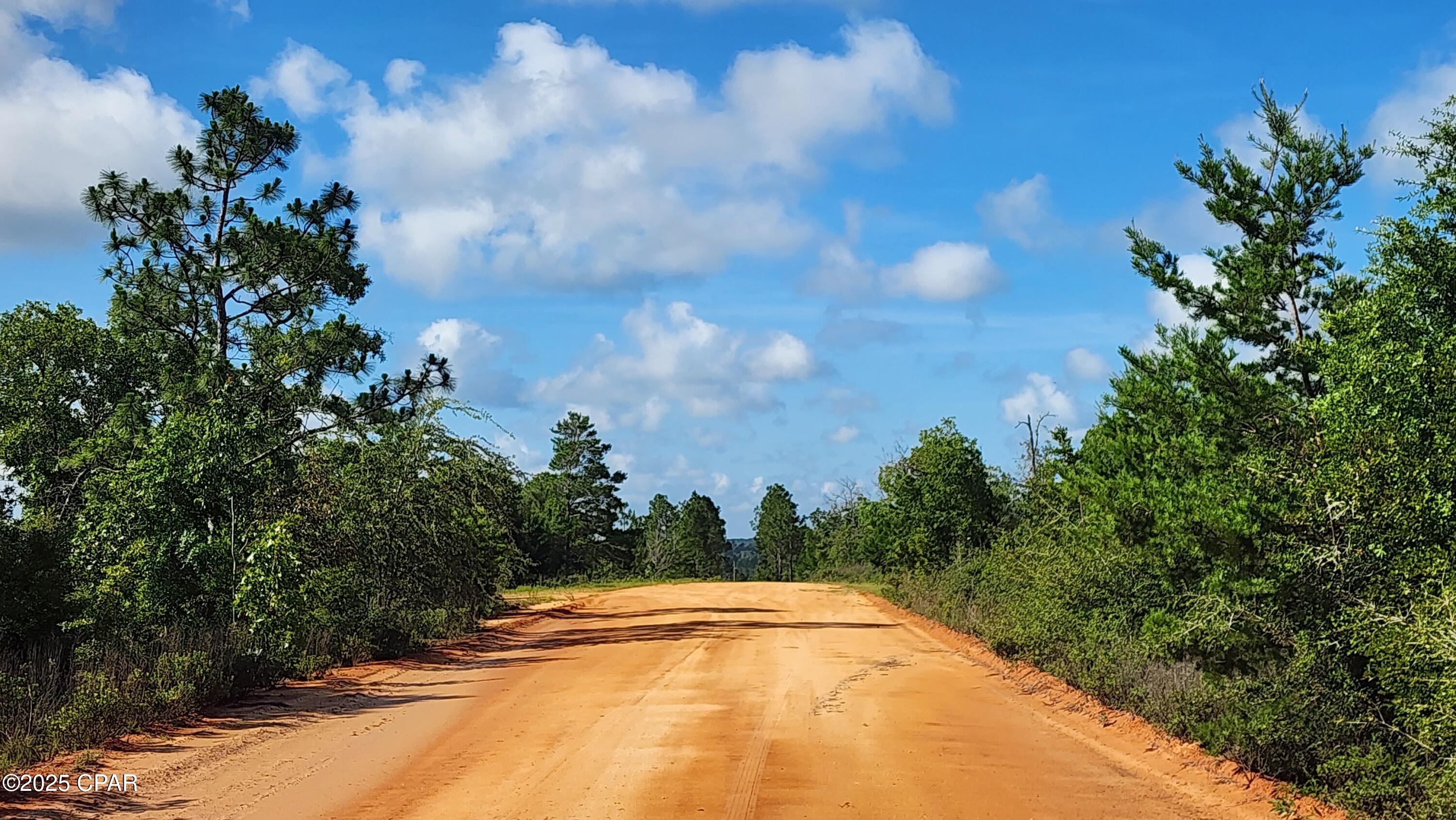 0 Petty Road, Unit LOT 11 Marianna, FL 32448 - Photo 7 of 7