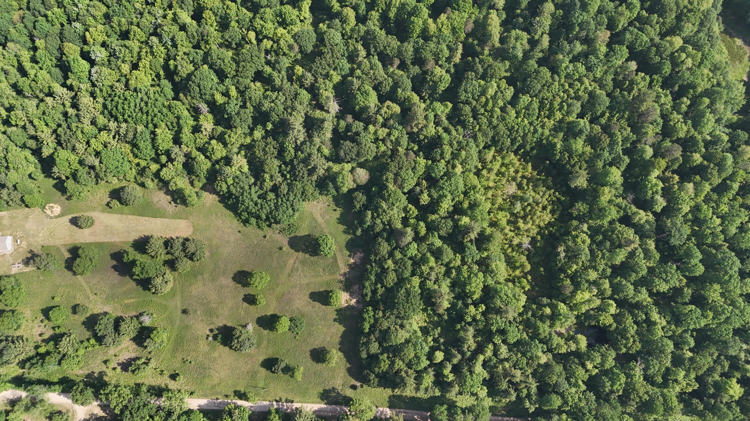 Dickson Road Brethren, MI 49619 - Photo 15 of 27 dji_fly_20250617_101004_0584_17501698433