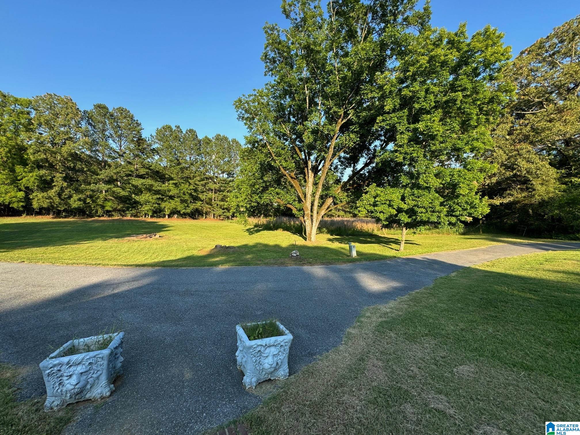 1490 Dry Valley Road Lincoln, AL 35096 - Photo 46 of 48