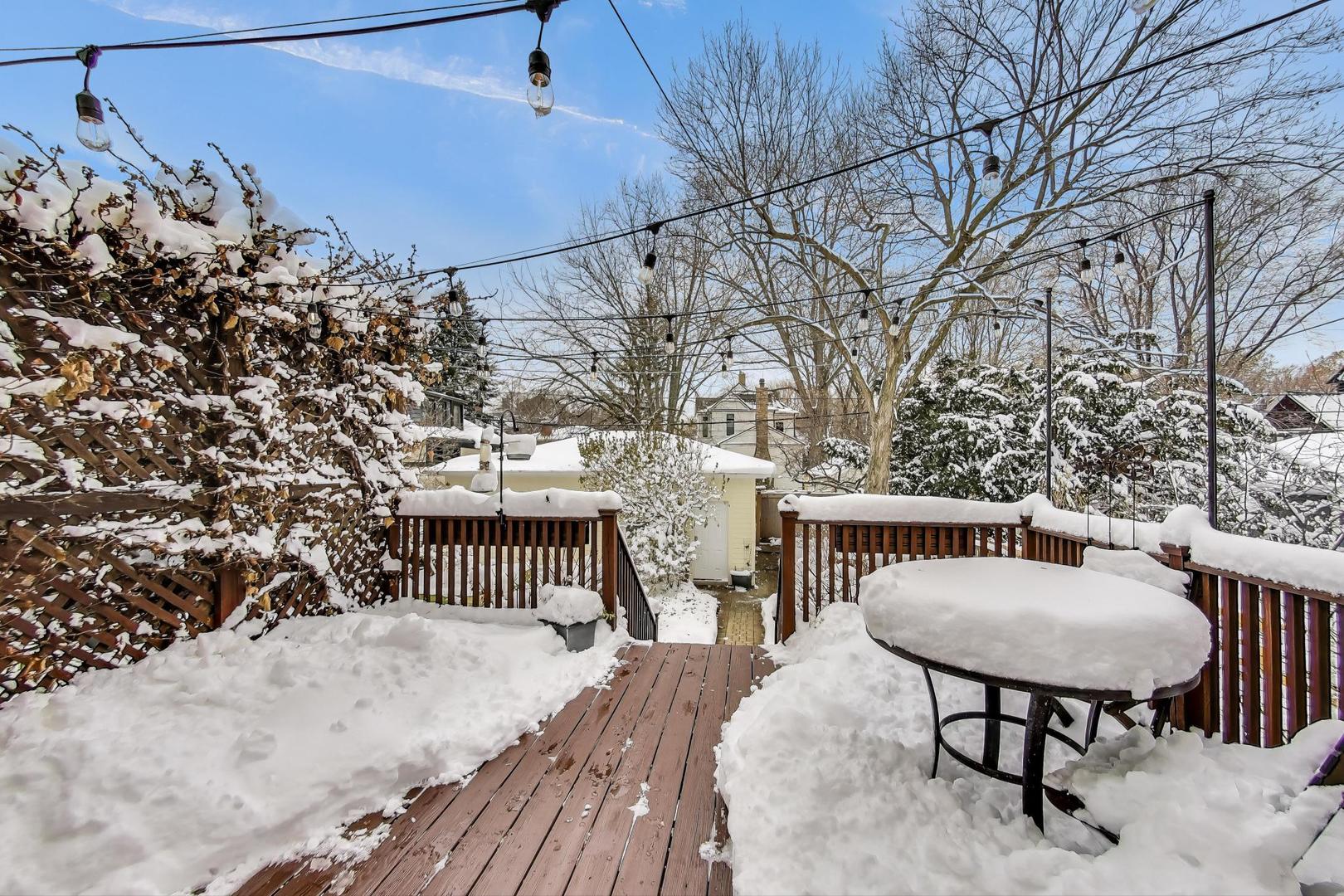 1006 Forest Avenue Evanston, IL 60202 - Photo 49 of 70