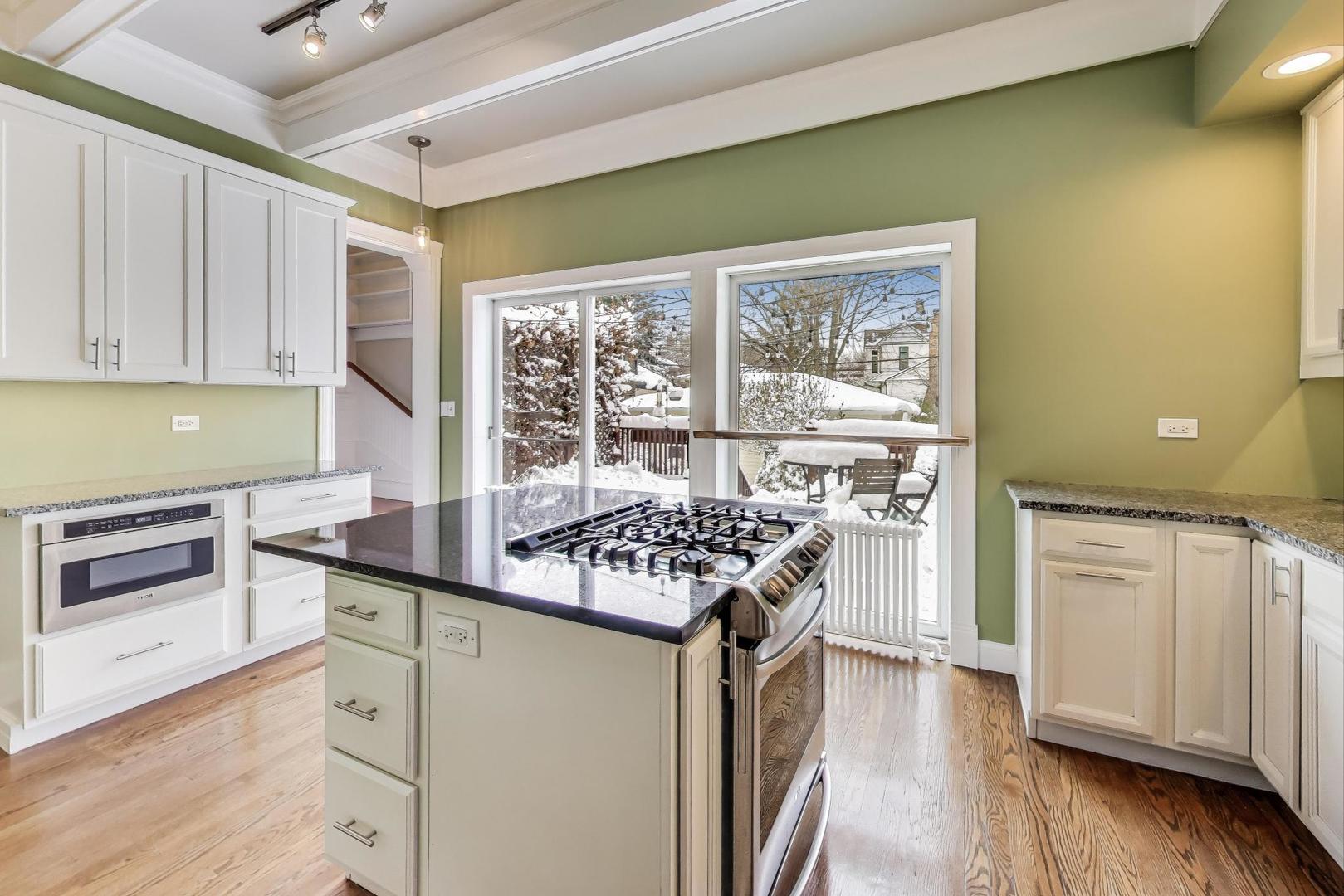 1006 Forest Avenue Evanston, IL 60202 - Photo 10 of 70