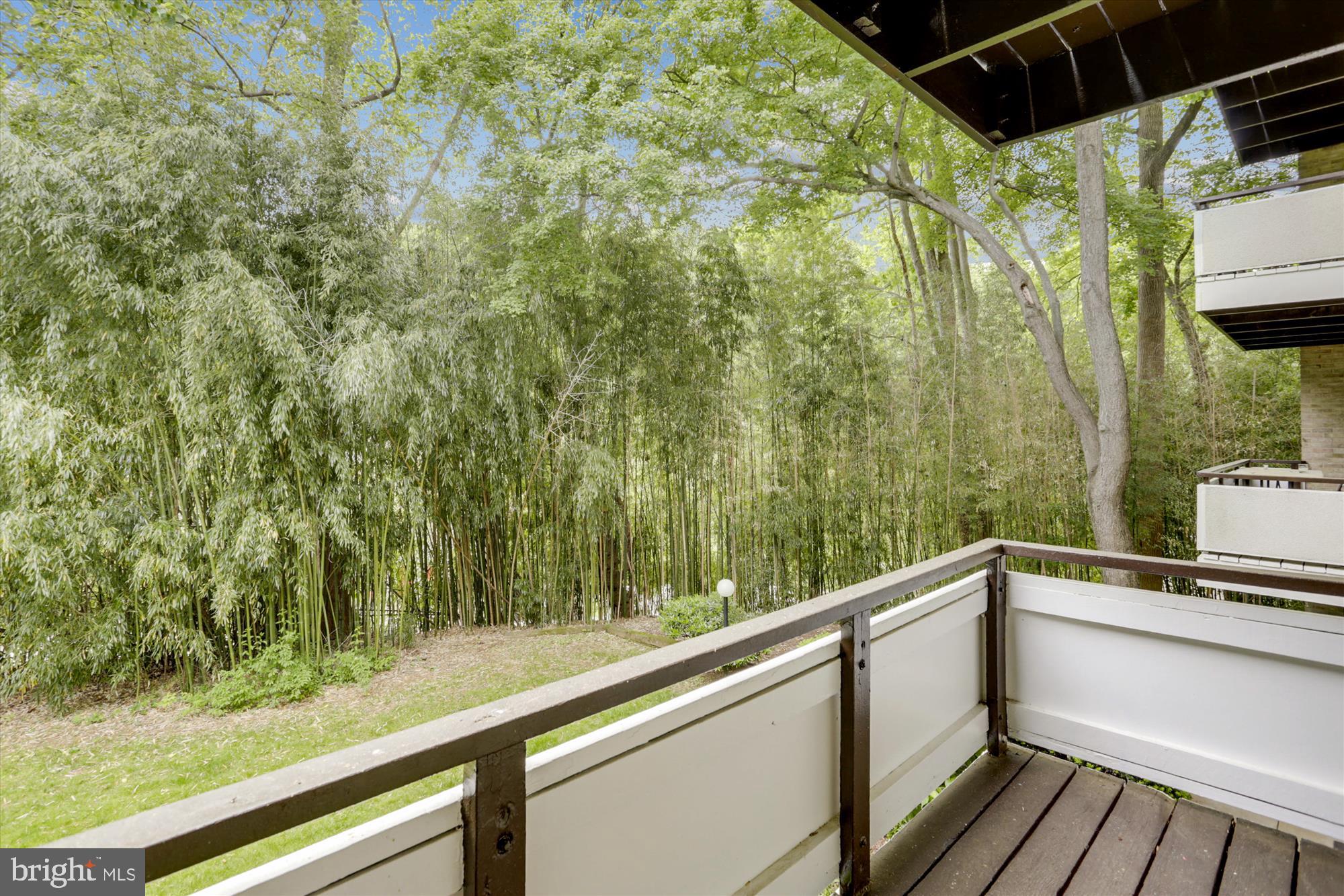 7519 Spring Lake Drive, Unit B1 Bethesda, MD 20817 - Photo 15 of 36 Balcony off master bedroom
