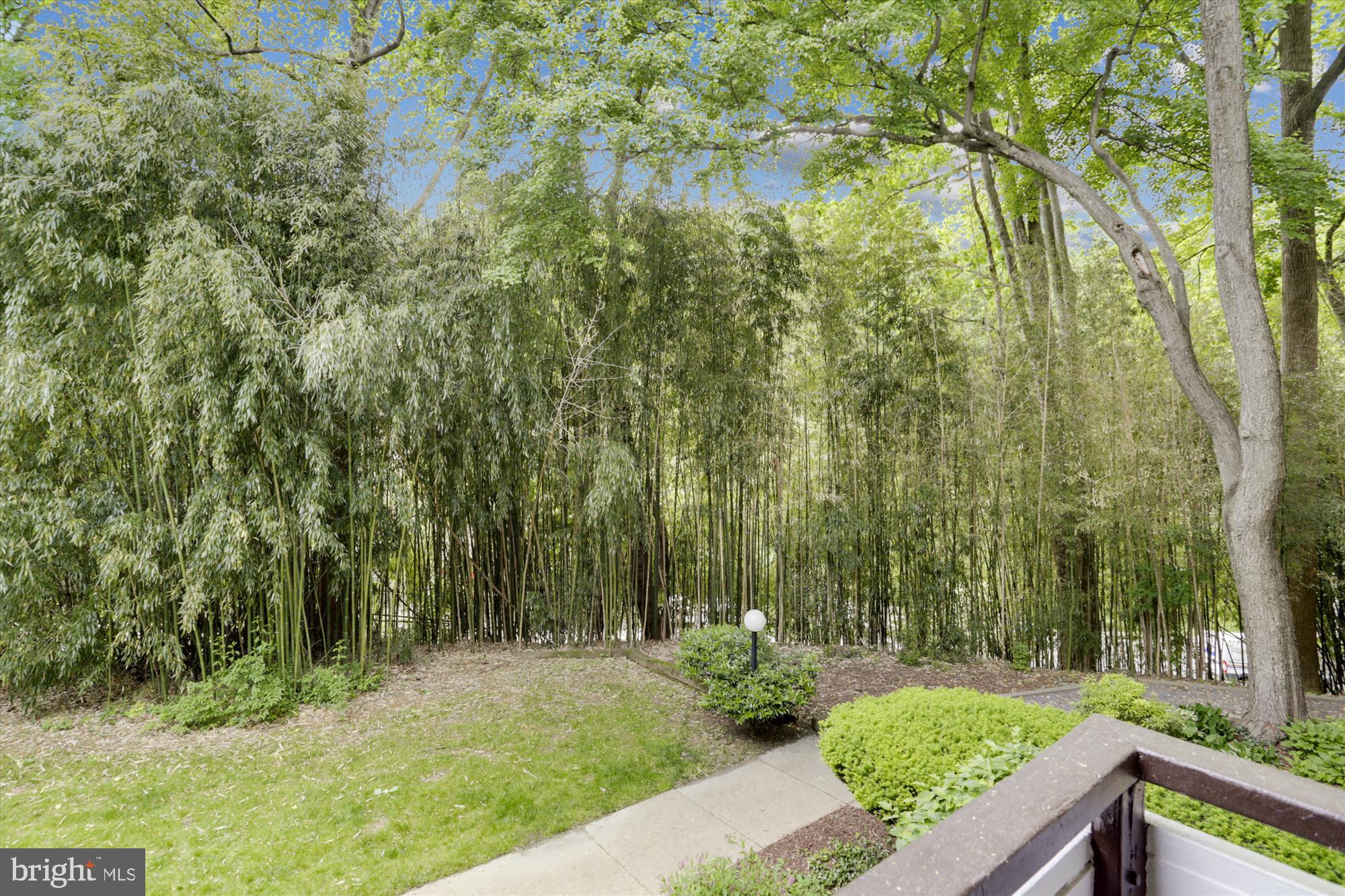 7519 Spring Lake Drive, Unit B1 Bethesda, MD 20817 - Photo 16 of 36 View from balcony