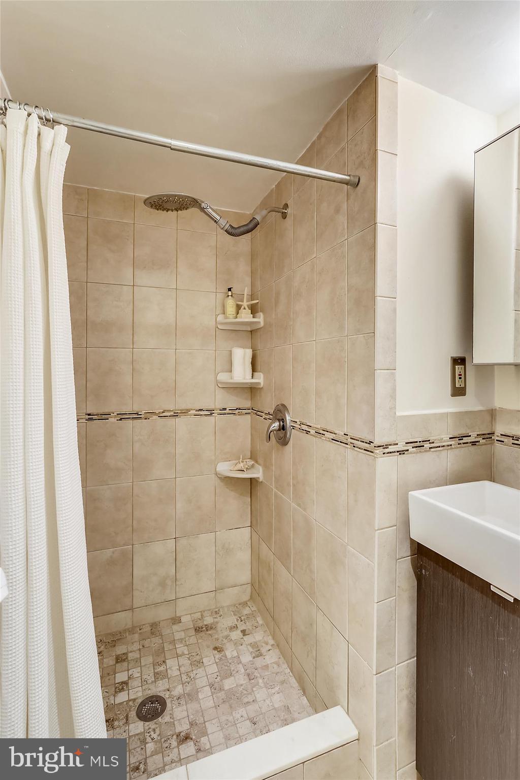 7519 Spring Lake Drive, Unit B1 Bethesda, MD 20817 - Photo 21 of 36 Master bath with shower