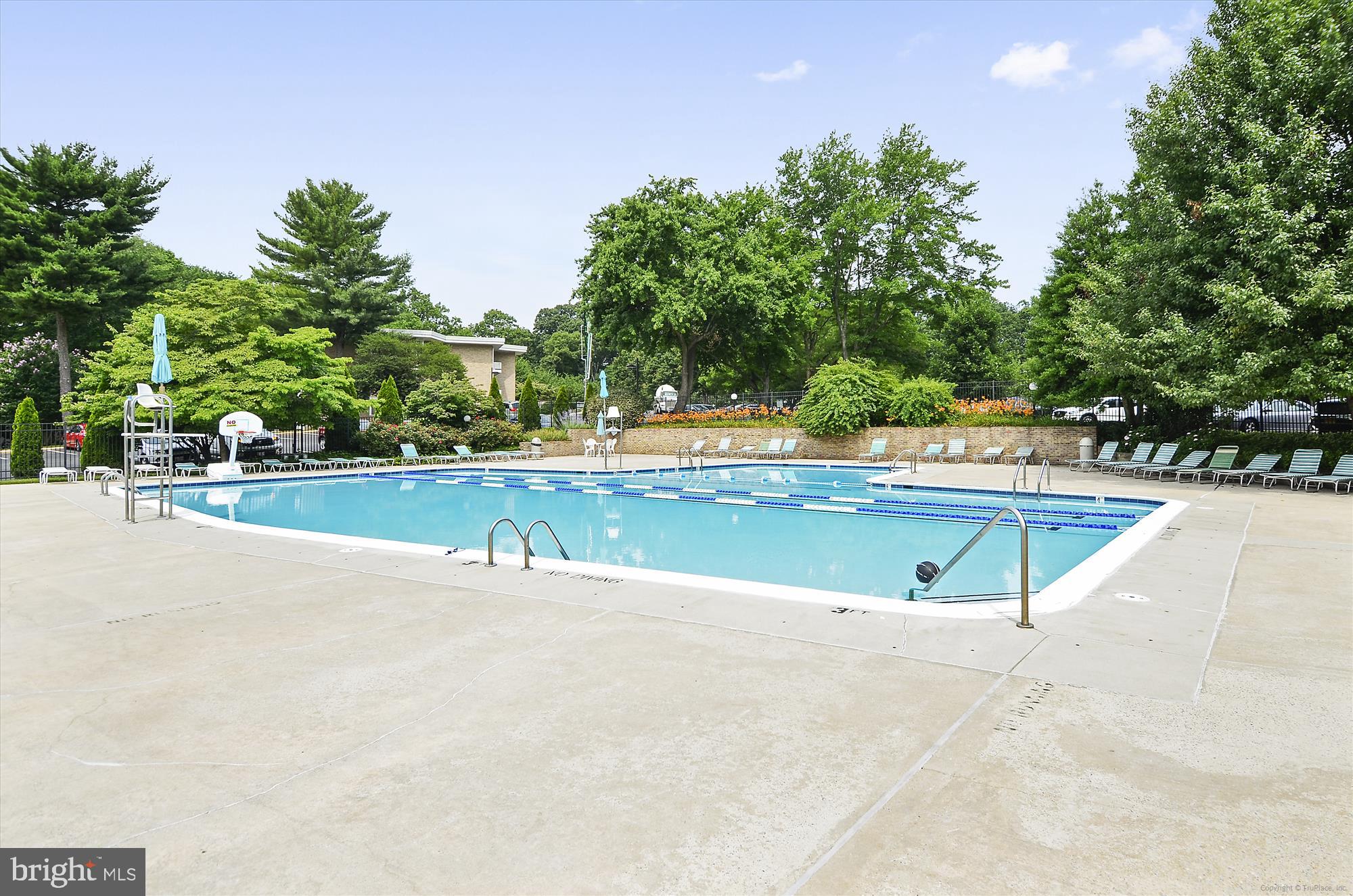7519 Spring Lake Drive, Unit B1 Bethesda, MD 20817 - Photo 27 of 36 Outdoor pool