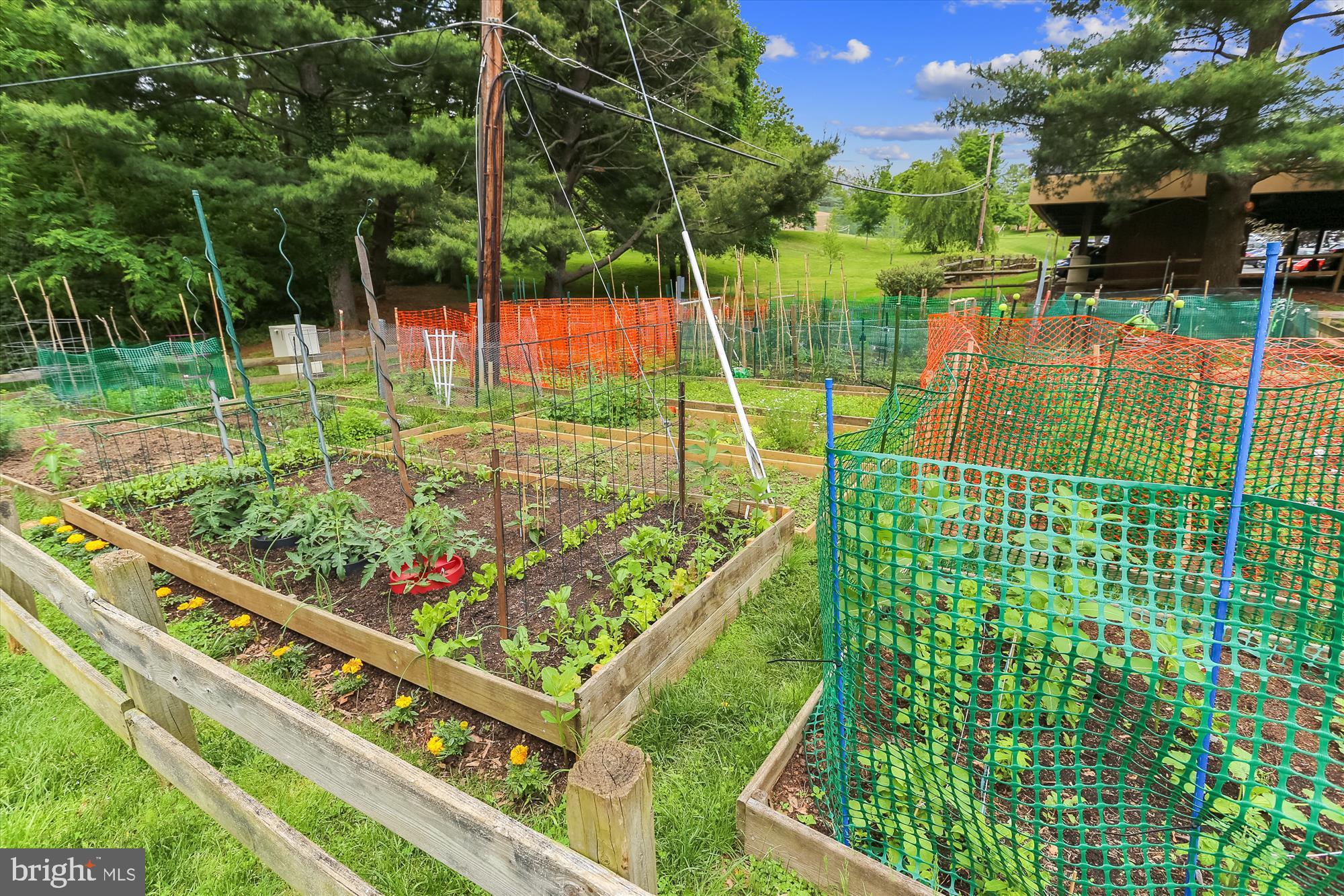 7519 Spring Lake Drive, Unit B1 Bethesda, MD 20817 - Photo 31 of 36 Community garden plots