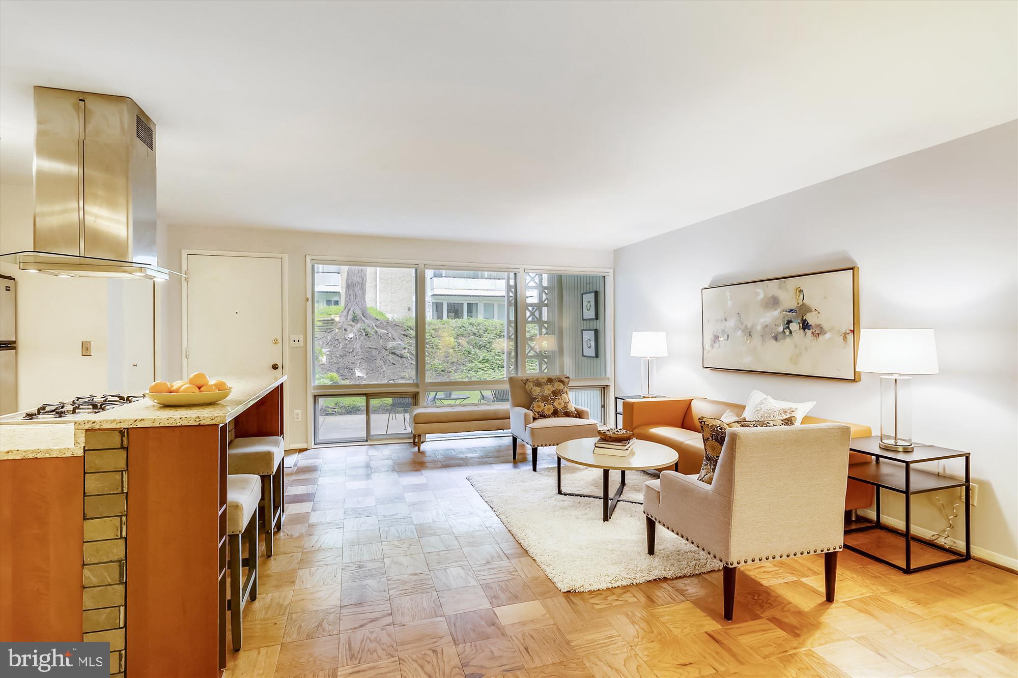 7519 Spring Lake Drive, Unit B1 Bethesda, MD 20817 - Photo 6 of 36 Living room