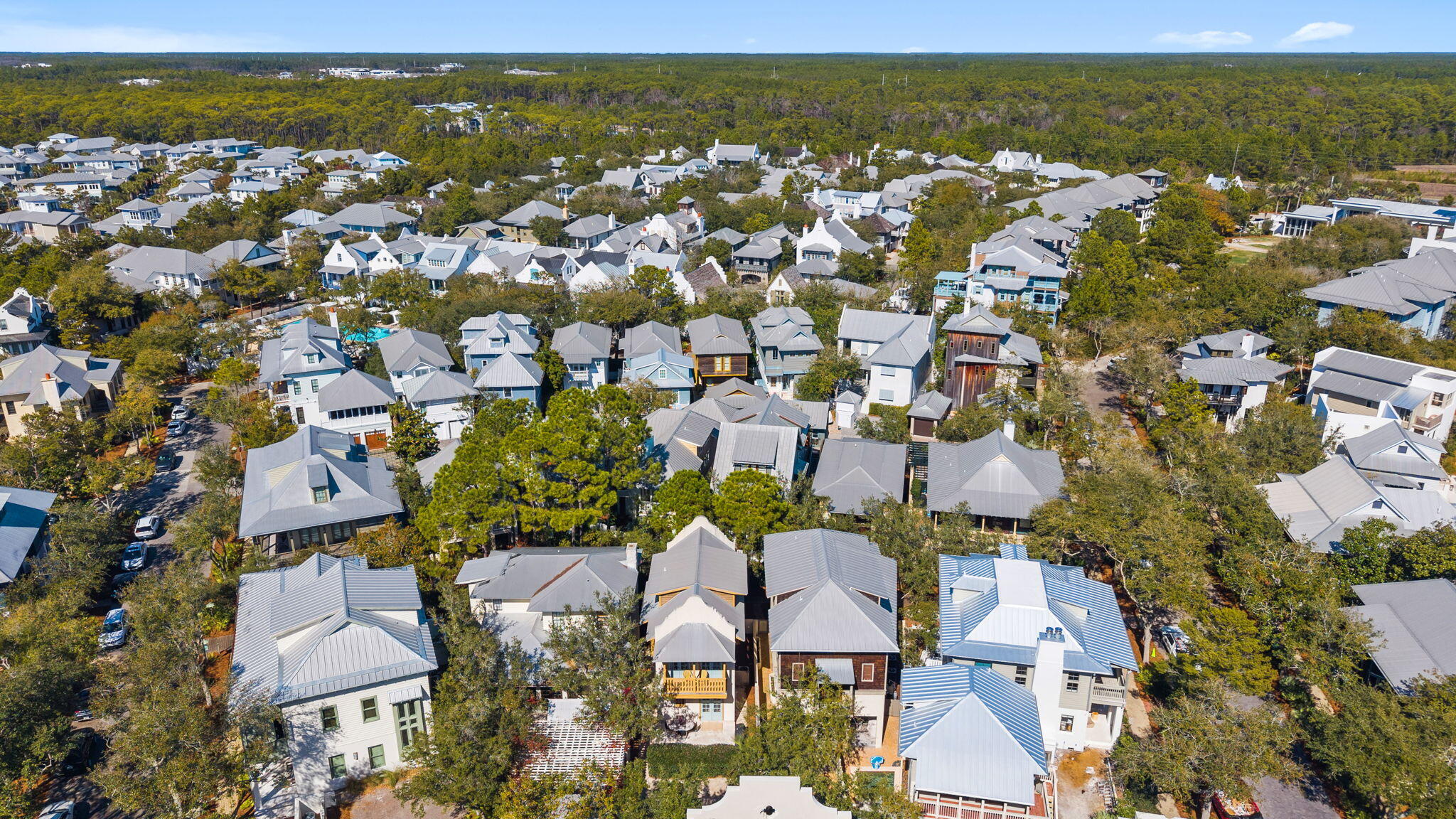 75 Wiggle Lane Inlet Beach, FL 32461 - Photo 43 of 57 1-web-or-mls-DJI_20260211124955_0767_D