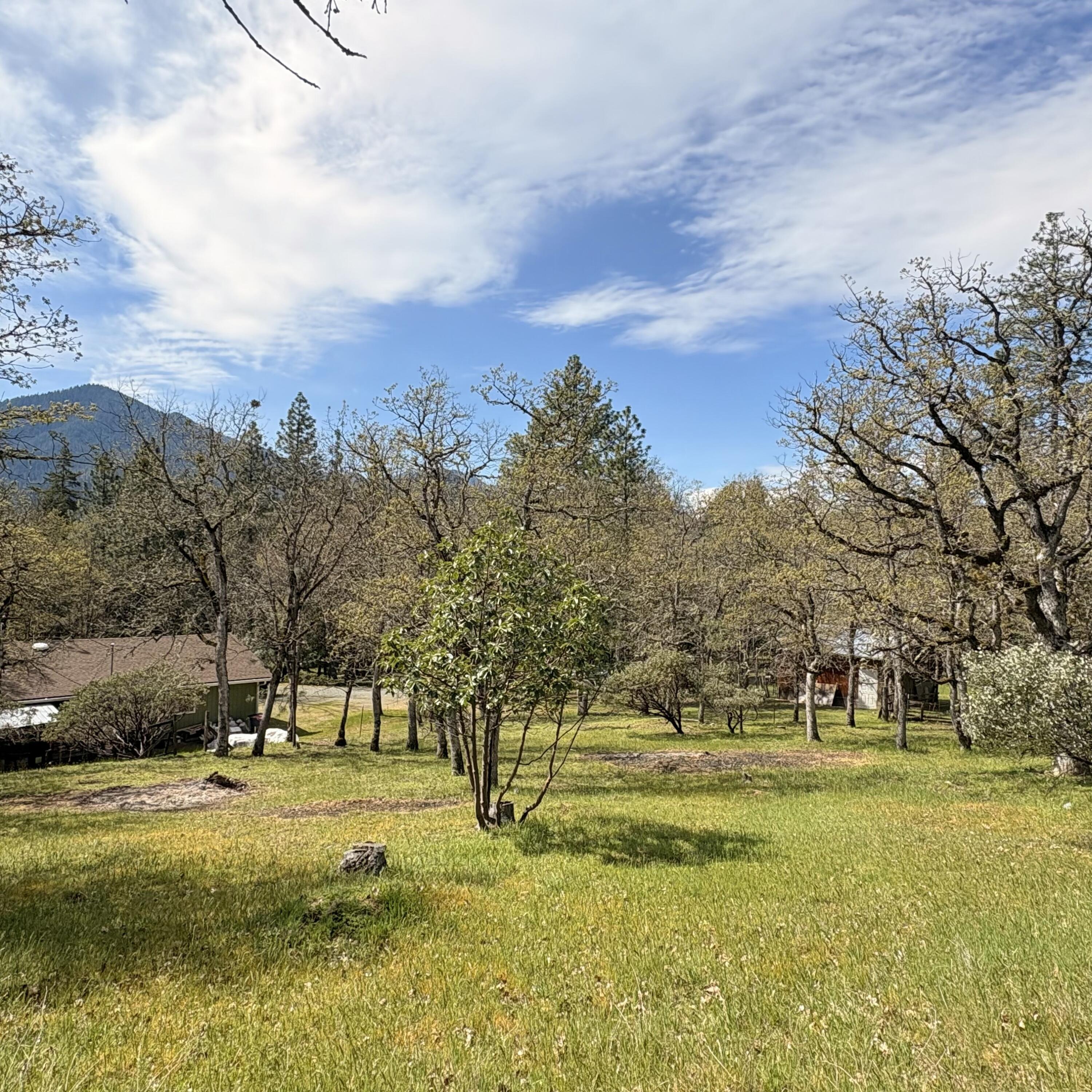 15 Twin Oaks Road Jacksonville, OR 97530 - Photo 23 of 26