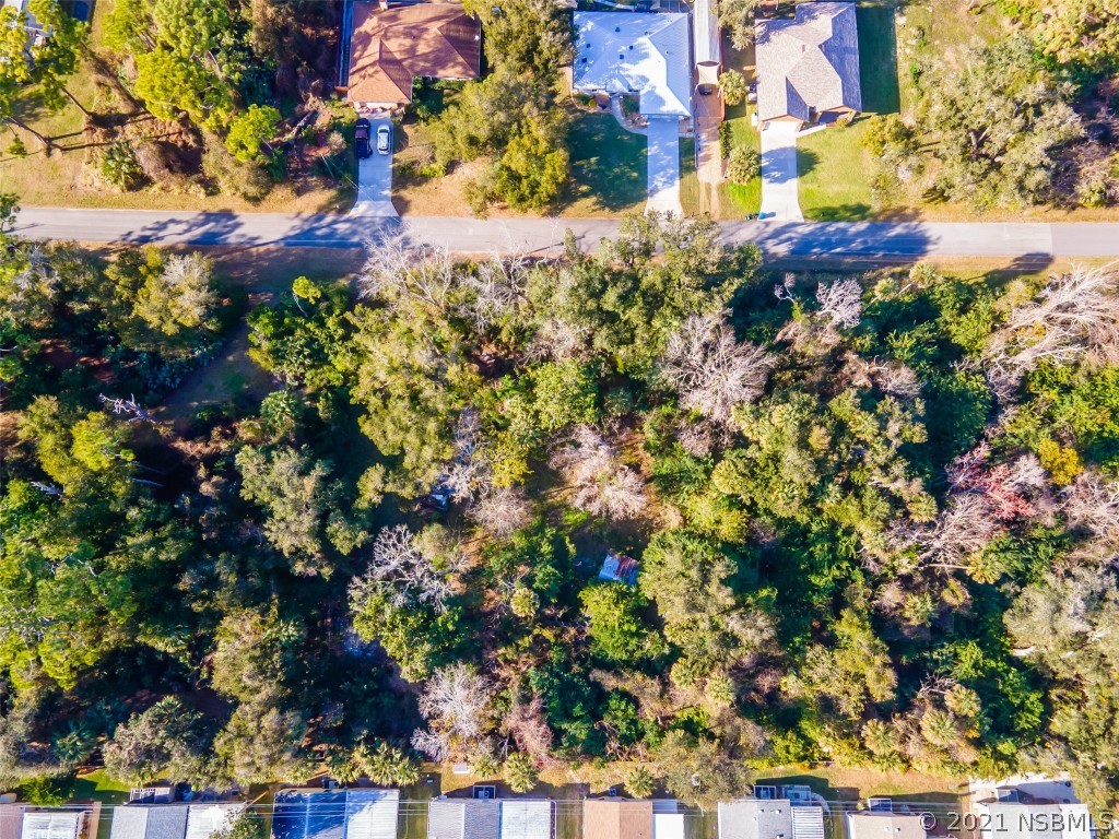 138 Poinciana Road Edgewater, FL 32141 - Photo 5 of 5 Gallery Image 5
