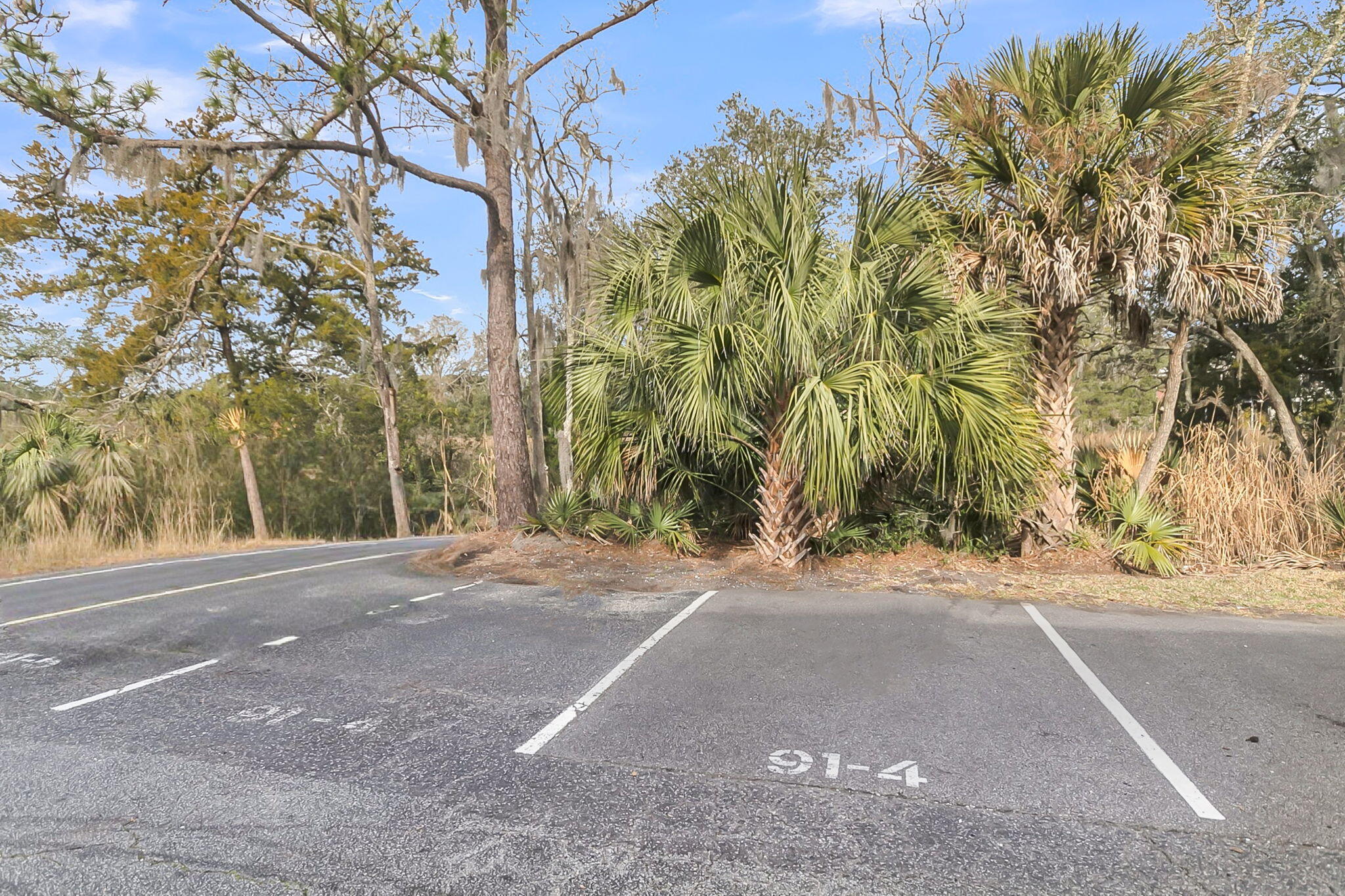 91 Ashley Hall Plantation Road, Unit 4 Charleston, SC 29407 - Photo 29 of 30 91 Ashley Hall Rd., #4