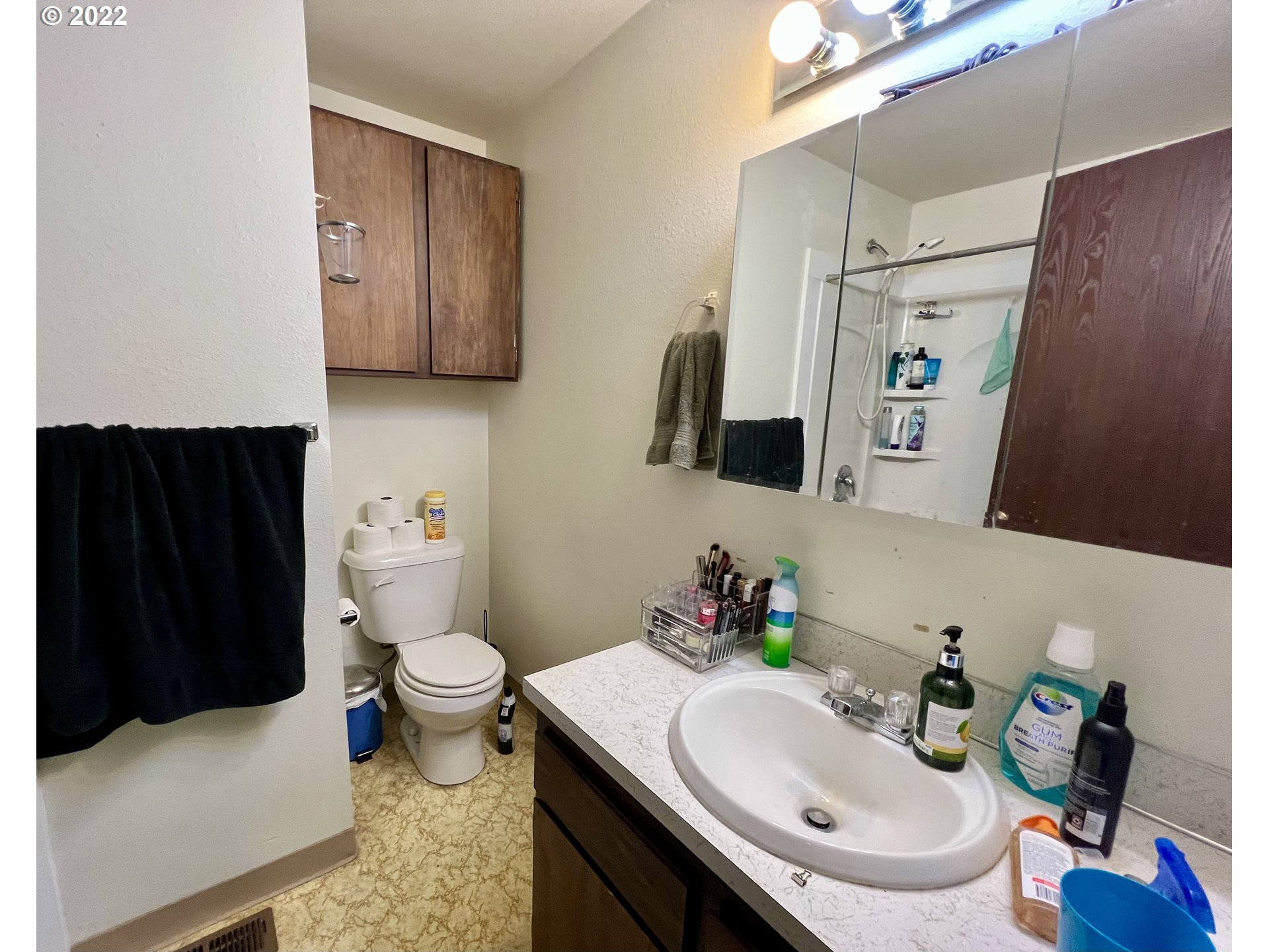 716 Southeast 10th Street Pendleton, OR 97801 - Photo 13 of 18 a bathroom with a sink a toilet and shower curtain