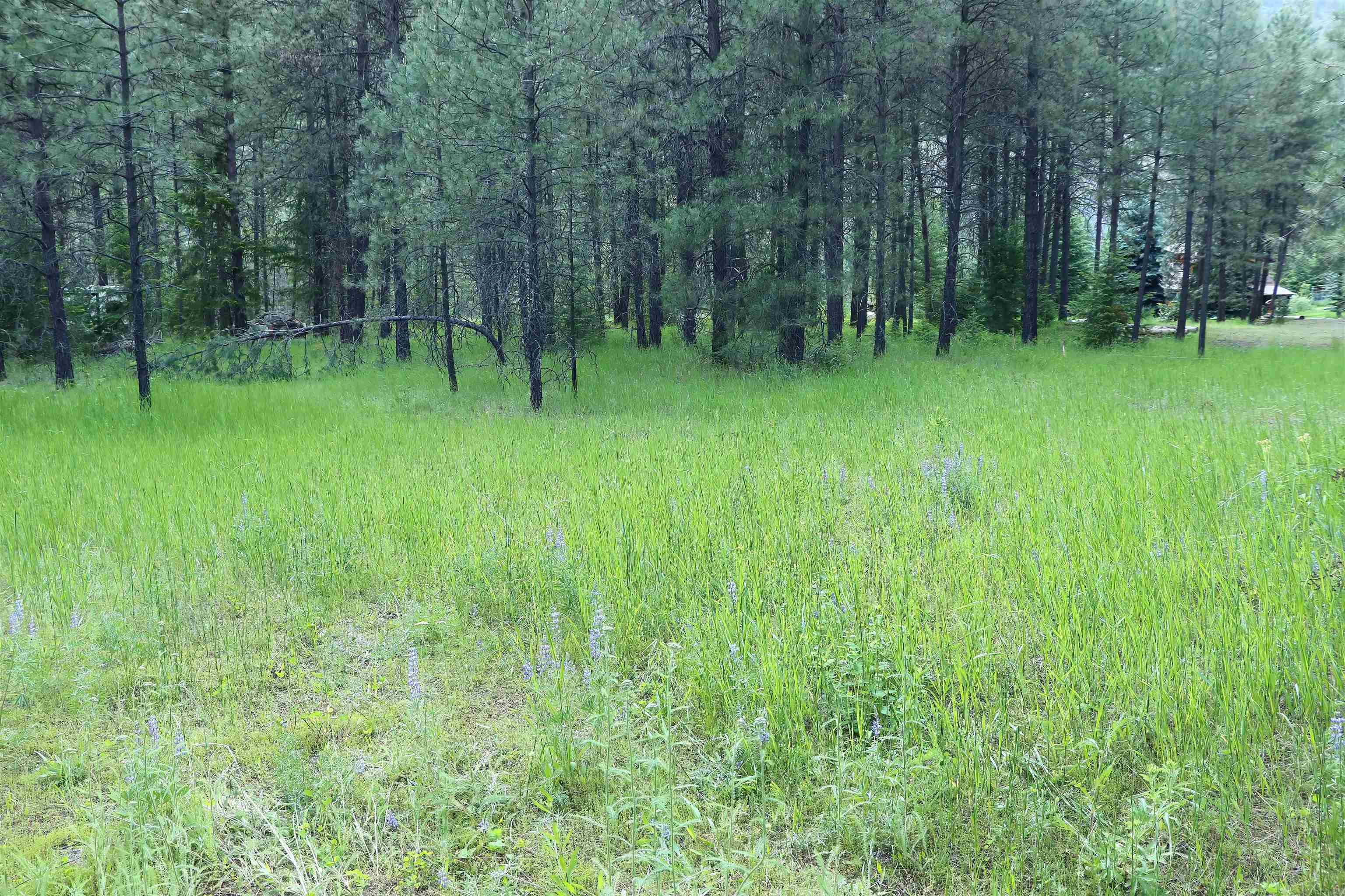 3733C Sand Creek Road Kettle Falls, WA 99141 - Photo 11 of 12
