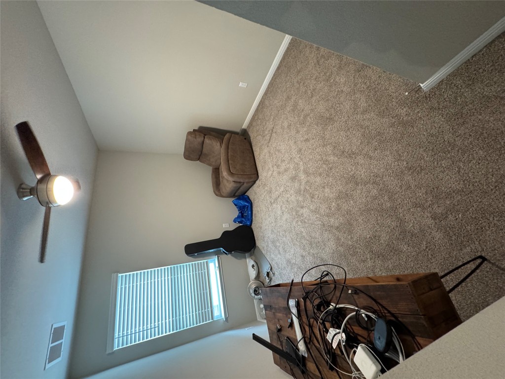 429 El Capitan Loop Dripping Springs, TX 78620 - Photo 6 of 18