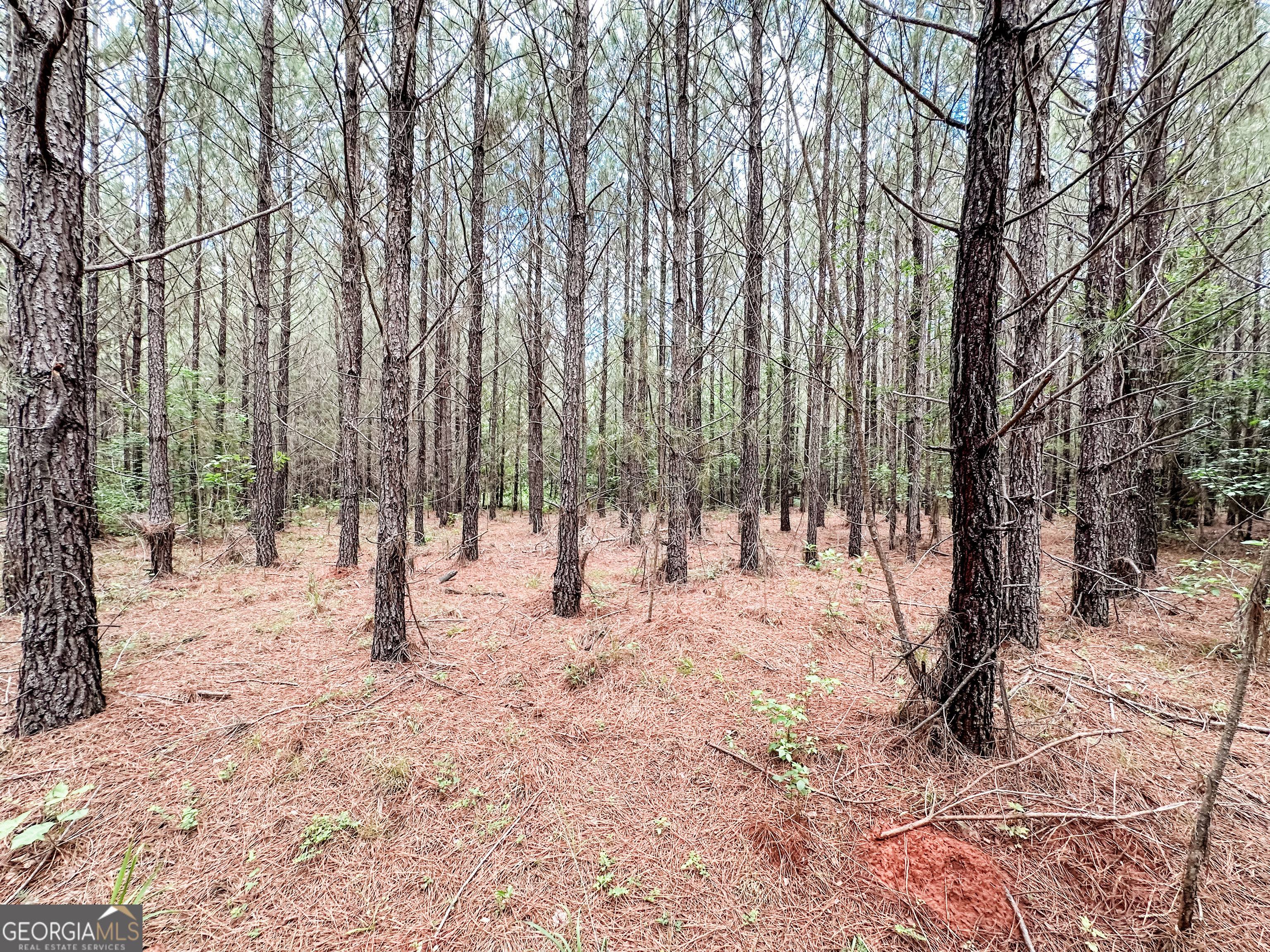 52.4-acres Goolsby Road, Unit 52 4 ACRES Monticello, GA 31064 - Photo 24 of 25