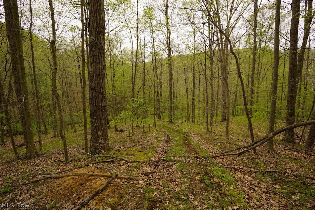 Dutch Creek Road Athens, OH 45701 - Photo 22 of 28