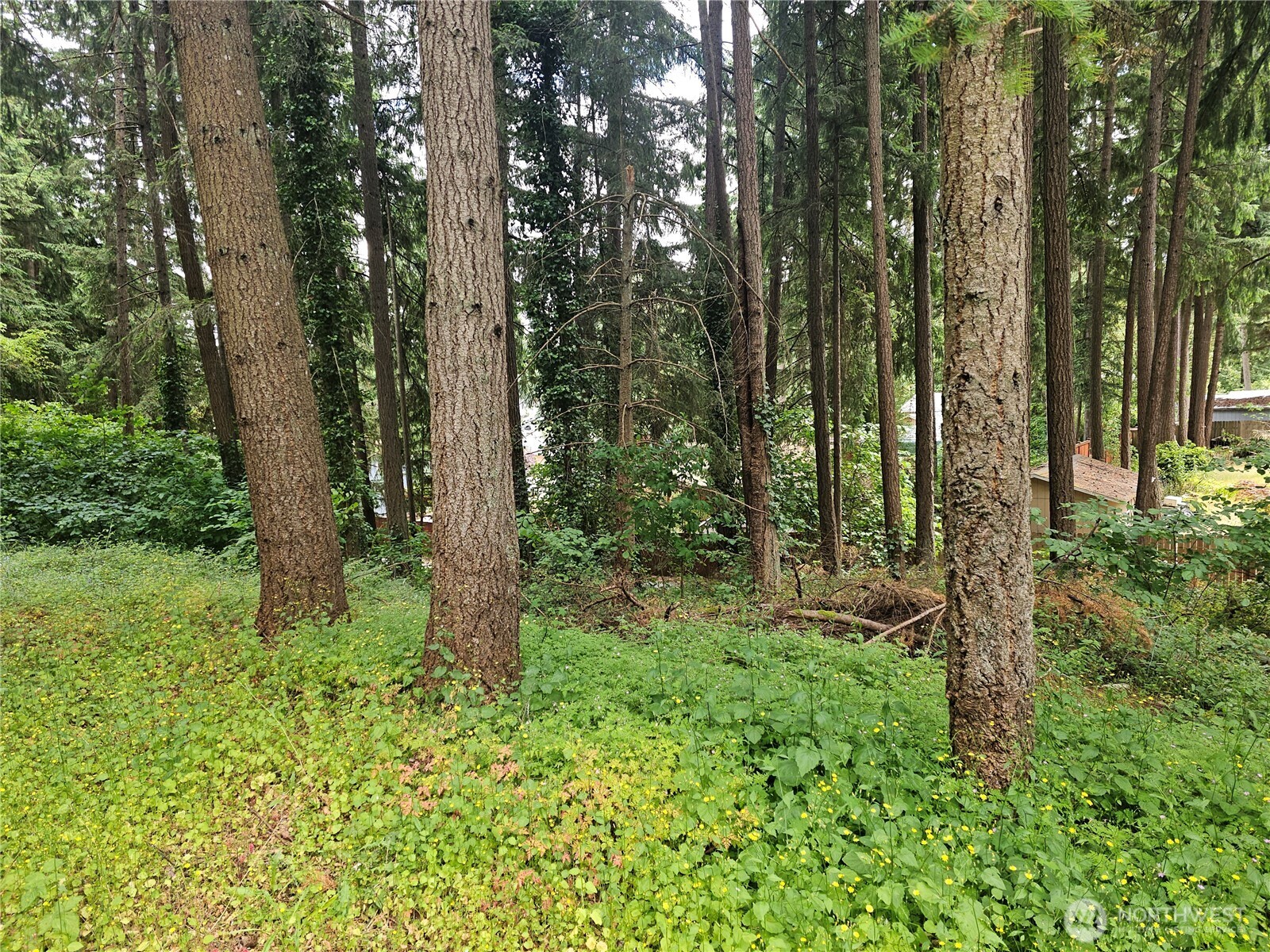 6923 20th Avenue Southeast, Unit 1 Lacey, WA 98503 - Photo 12 of 12