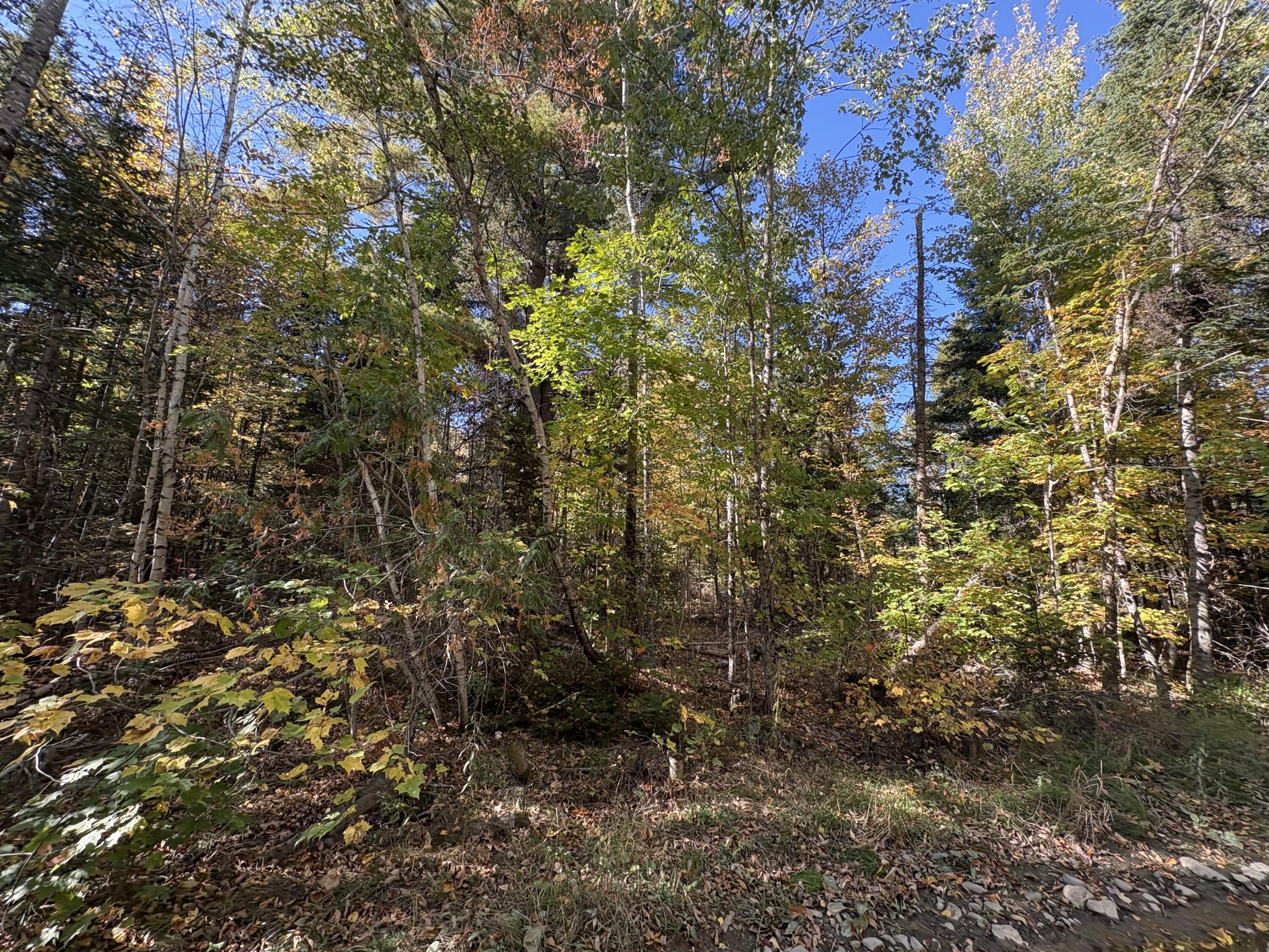 Map1-lot1 Rutland Road Plymouth, ME 04969 - Photo 6 of 10