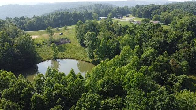 1216 Spring Road Wallingford, KY 41093 - Photo 5 of 20 2025-06-03-16-59-31-457