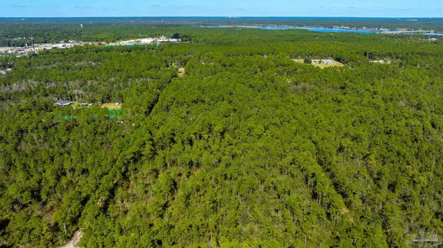 a view of a large green field