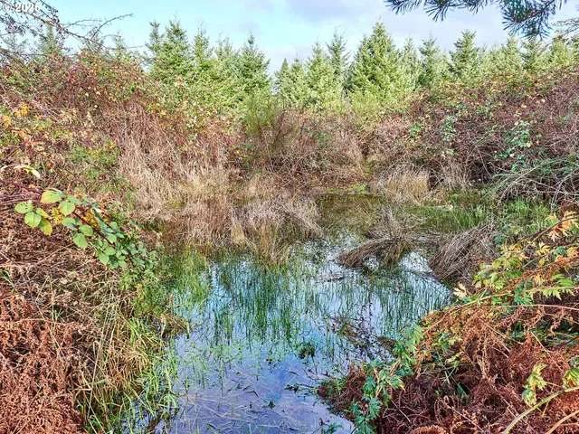 $179,000 | 15931 South Forest Haven Road, Molalla, OR 97038